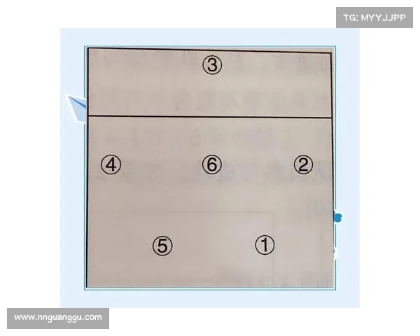 扑点球方向判断的策略与技巧解析：从心理学到实际操作的全面分析